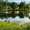 9023 County Road 34 - Photo 36