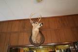 9023 County Road 34 - Photo 6