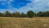 9023 County Road 34 - Photo 60
