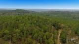 9023 County Road 34 - Photo 61
