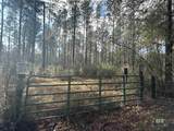 0 Patterson Road - Photo 11