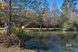 24120 Patterson Road - Photo 42