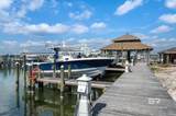 27501 Perdido Beach Boulevard - Photo 77