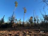 0 County Road 32 - Photo 15