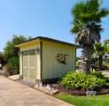 256 Magnifico Drive - Photo 13