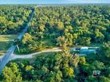 27125 County Road 54 - Photo 13