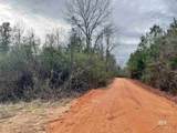 21000 Block Highway 21 - Photo 15