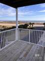 29101 Perdido Beach Boulevard - Photo 3