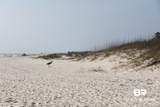 453 Dune Drive - Photo 39
