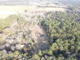 29640 Us Highway 98 - Photo 14