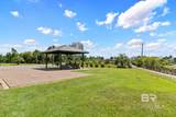 23601 Perdido Beach Boulevard - Photo 2