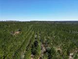 9 Robinsonville Road - Photo 5