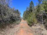 9 Robinsonville Road - Photo 10