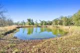 17333 County Road 55 - Photo 30