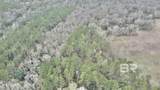 3000 Block Pine Barren Road - Photo 12