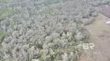3000 Block Pine Barren Road - Photo 13