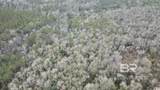 3000 Block Pine Barren Road - Photo 14