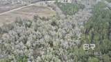 3000 Block Pine Barren Road - Photo 17