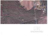 3000 Block Pine Barren Road - Photo 22