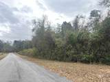 3000 Block Pine Barren Road - Photo 3
