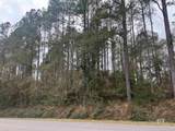 3000 Block Pine Barren Road - Photo 4