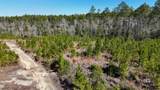  Canopy Lane - Photo 14