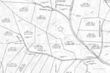  Canopy Lane - Photo 21
