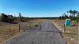  Canopy Lane - Photo 9