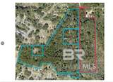 2210 Wolf Ridge Road - Photo 2