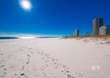 26802 Perdido Beach Boulevard - Photo 31