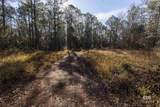 805 Mossy Oak Drive - Photo 7