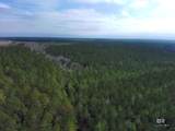 0 Griggers Road - Photo 3