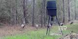 0 Griggers Road - Photo 45