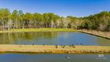 22210 Pastoral Lane - Photo 13