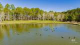 22210 Pastoral Lane - Photo 15