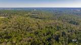 12960 County Road 48 - Photo 5