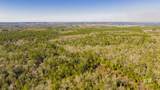 12960 County Road 48 - Photo 9