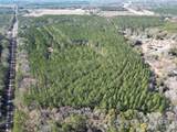 0 Old Fannie Road - Photo 4