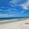 23601 Perdido Beach Boulevard - Photo 12