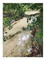 19157 Keller Road - Photo 3