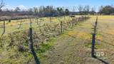 16475 County Road 55 - Photo 42