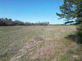 5400 BLK Rockaway Creek Road - Photo 10