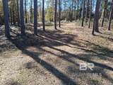 10116 Bayhaven Drive - Photo 1