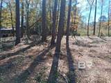 10116 Bayhaven Drive - Photo 12