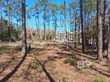 10116 Bayhaven Drive - Photo 13