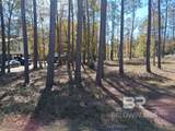 10116 Bayhaven Drive - Photo 7