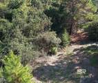 0 Nolte Creek Drive - Photo 9