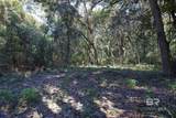 13555 Nolte Creek Drive - Photo 12