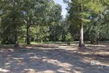 13555 Nolte Creek Drive - Photo 2