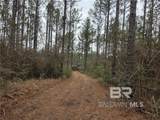 0 Chunchula Landfill Road - Photo 2